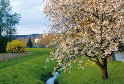 Bad Birnbach, der Landkreis Rottal-Inn und die Kelterei Wolfra wollen künftig eng zusammenarbeiten
