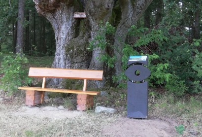 Oberpfälzer Wald Infostele Natur-Navi an der alten Buche beim Waldfriedhof Friedenfels