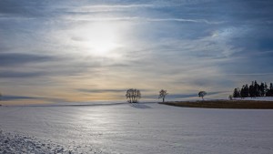Winterlandschaft am Drachensee