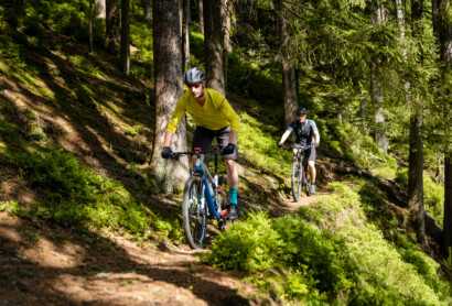 Neuer Mountainbike-Trail im Naturpark Steinwald