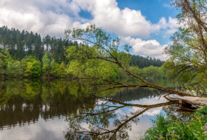 Im August geht „Wilde Winkel – Bayerns Natur-Podcast“ an die Ilz im Bayerischen Wald