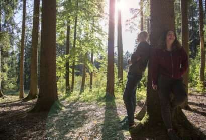 Bayerischer Heilbäder-Verband stellt Weichen für mehr  Kur- und Heilwälder in Bayern